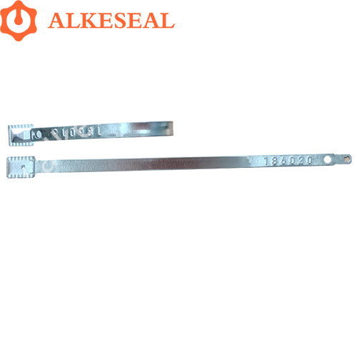 Flat Metal Strap Seals AS-MS002 for Trucks Trailers